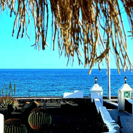 Blue Marlin